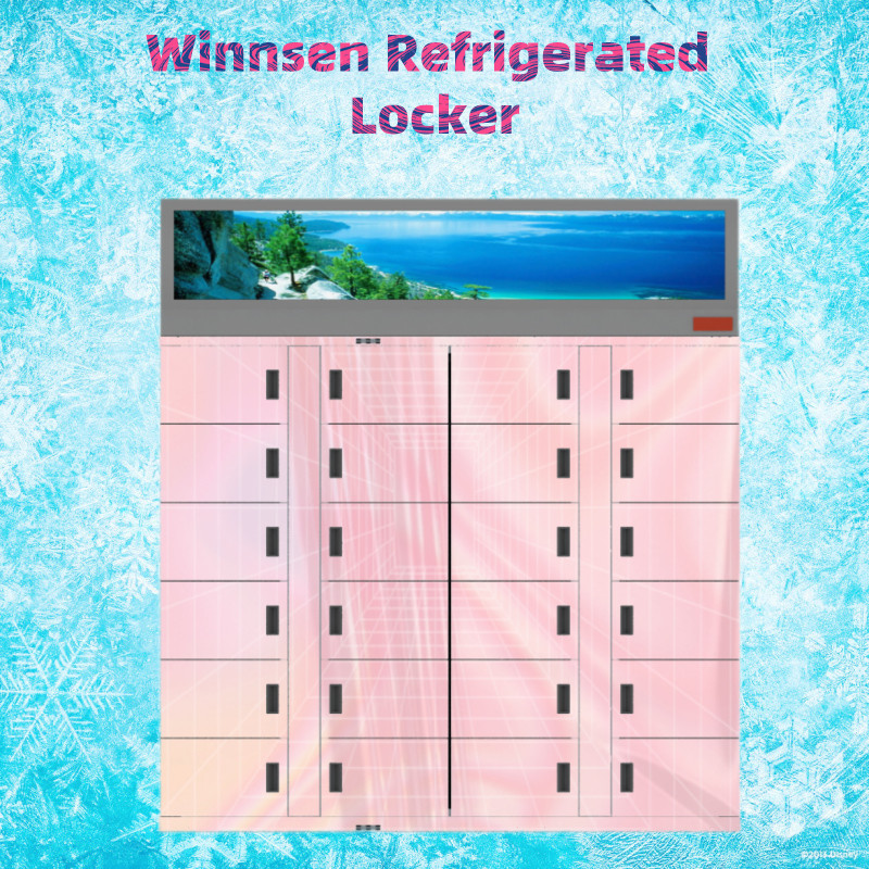 Winnsen Smart Cabinet Refrigerated Frozen Locker 60Hz Fresh Goods Market Using