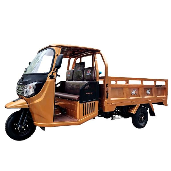Citycoco Motorized Scooter 200CC/250CC 3 Wheels Cabin Trike with Rear Spring