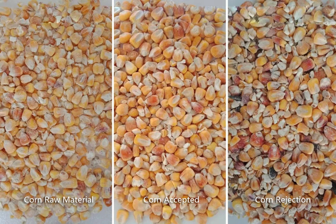 2.6KW High Capacity Intelligent CCD Color Sorter For Rice/Grain With Nice Price