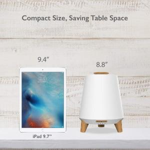 Portable Ultrasonic Bluetooth Music Speaker Aroma Diffuser