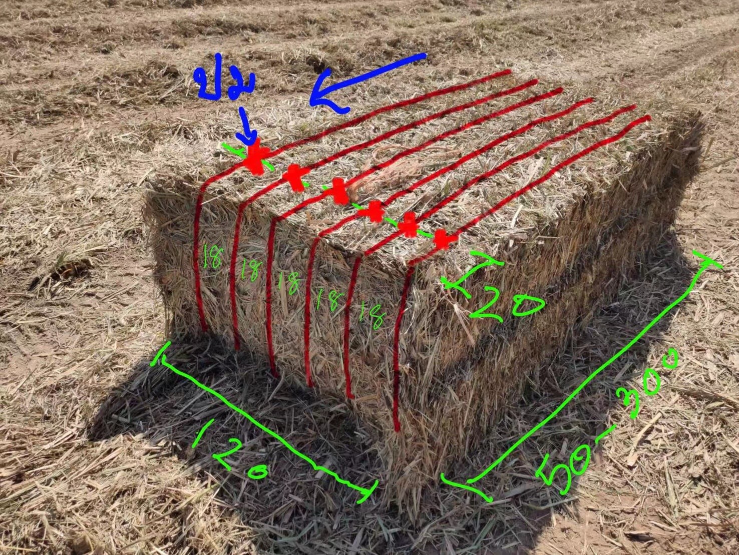 Fibrillated And UV Added Polypropylene Big Square Hay Baler Twine T110 For Agricultural Industry