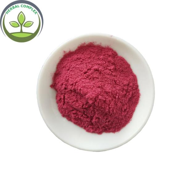 black currant juice powder buy best health benefits supplement products drink
