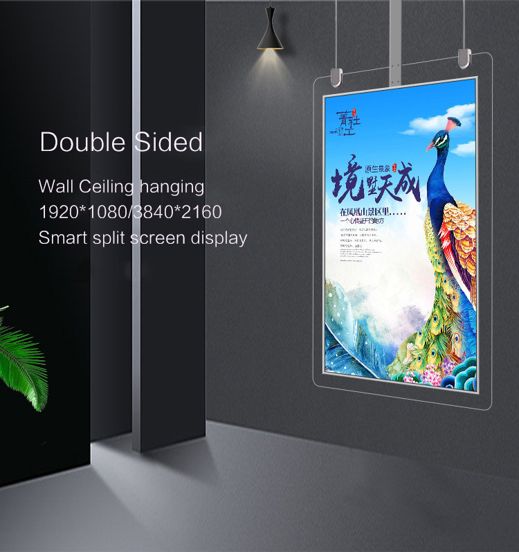 Shop Digital Window Display Wifi 49inch Clear Ceiling Hanging Double Sided