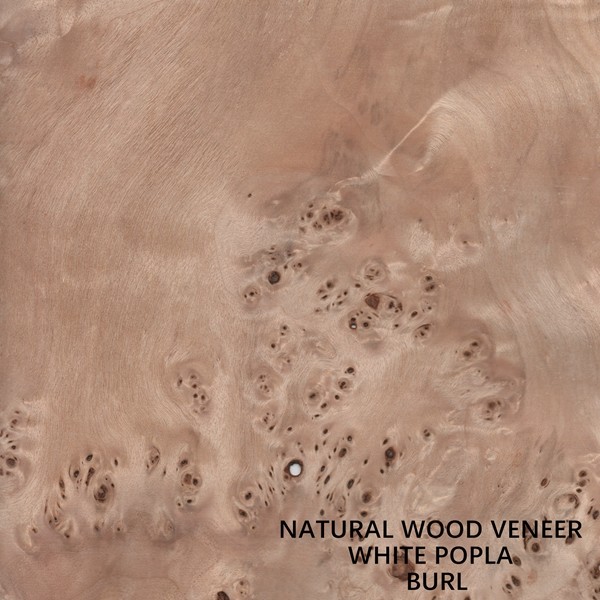Europe Natural Poplar Wood Veneer Mapa Burl Grain High Quality Thickness 0.5mm For Musical Instrument