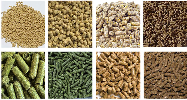 poultry feed processing plant