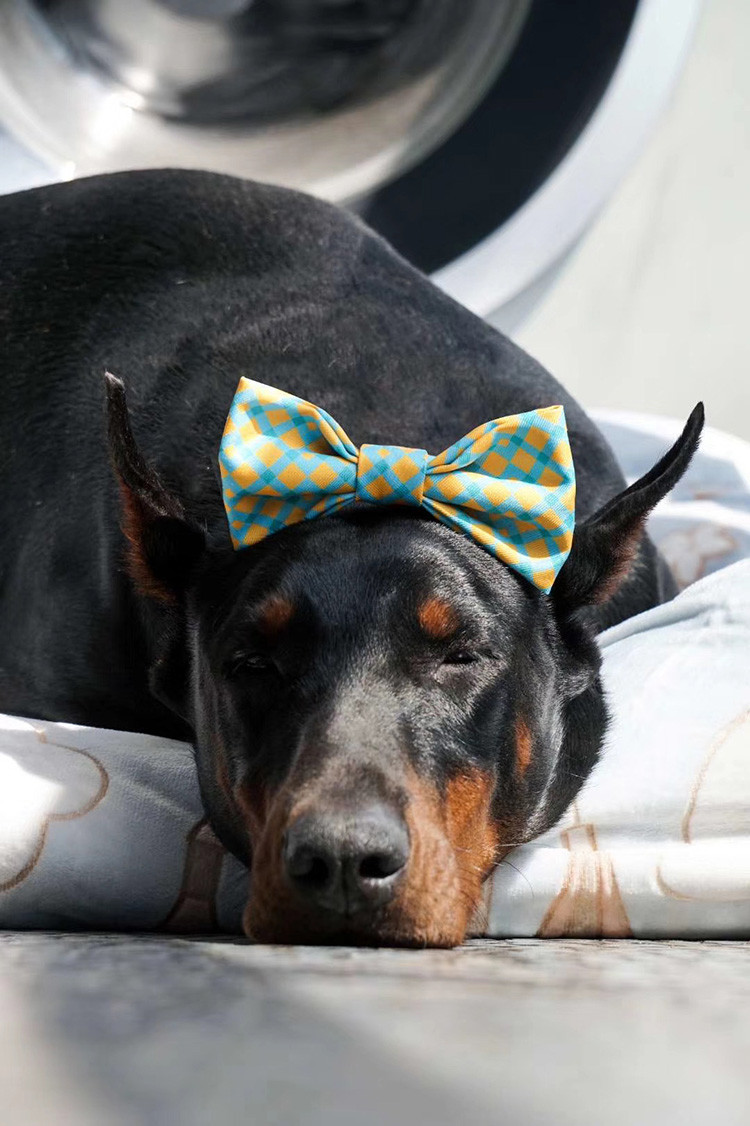 Holiday Xmas Thanksgiving Dog Bowtie Sublimation Printing For Small Medium Dogs