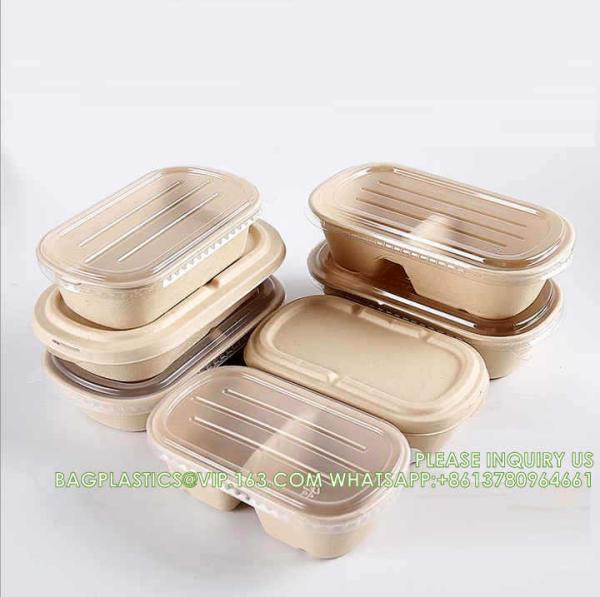 Wholesale Sugarcane Bagasse Pulp Lunch Box Takeaway Food Container Diaposiable