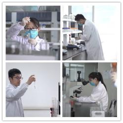 Jinan Grandwill Medical Technology Co., Ltd.