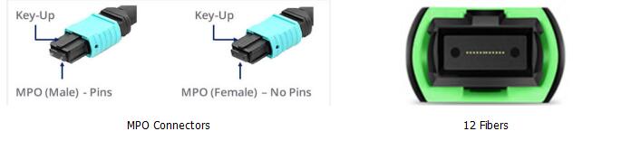 12 Fibers MPO to LC 12F MPO(male) -LC Fan-out 0.9mm 30-35cm Patch cable