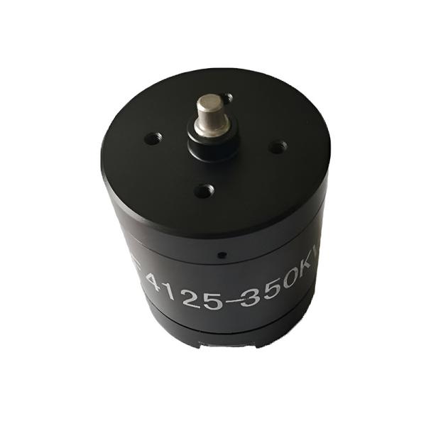 Faradyi Customize 24V 110 12V 300W Volt Low Speed High Torque Dc Motor For
