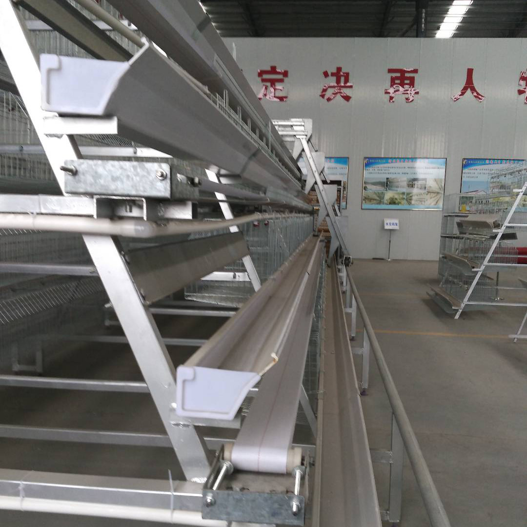 High Laying Rate Layer Chicken Cage 195cm Long Less Disability 44 - 69kg Weight