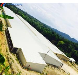 Custom Prefab Layer Chicken House with Automatic Feeding System
