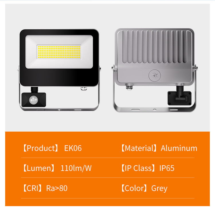 Security Spotlight IP65 Waterproof Hot Sale Led Flood Light Aluminum Housing With Motion Sensor For Garden Street Wall