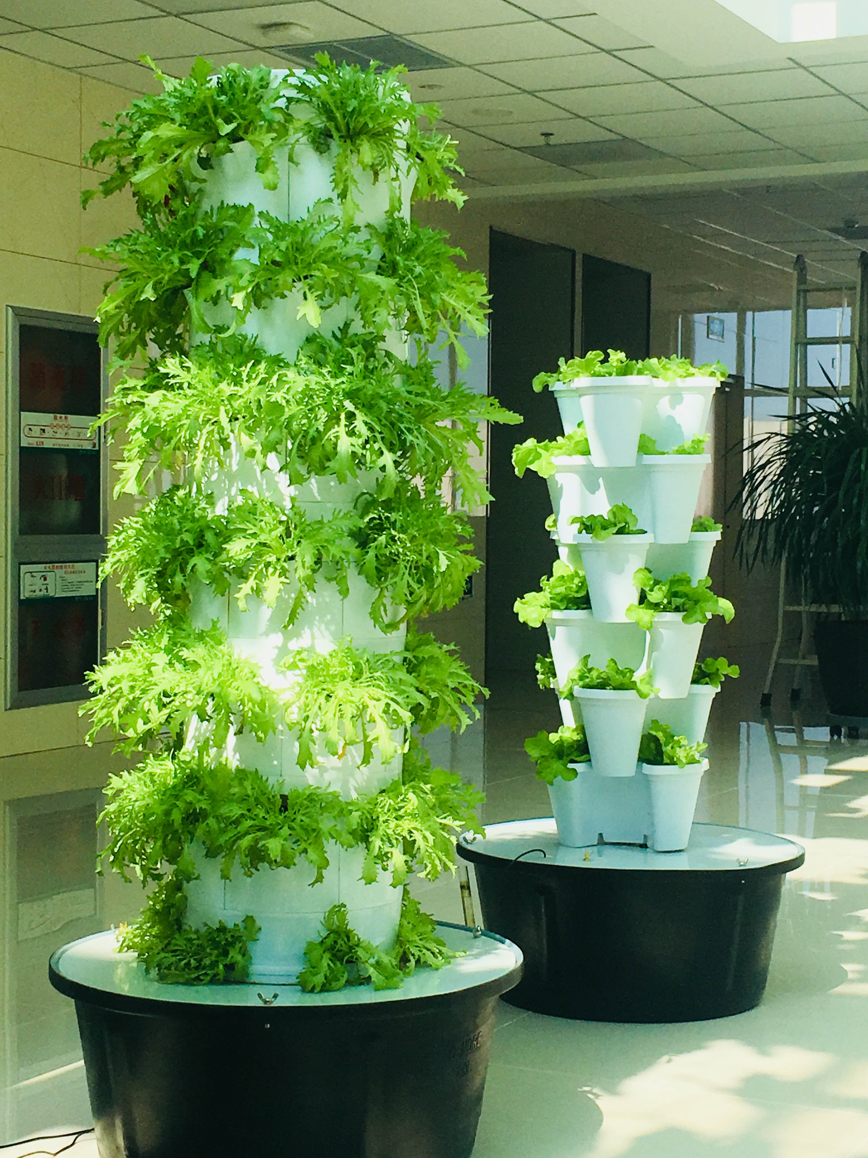 Vertical Hydroponic Aeroponic Growtower Sustainable Hydroponic System