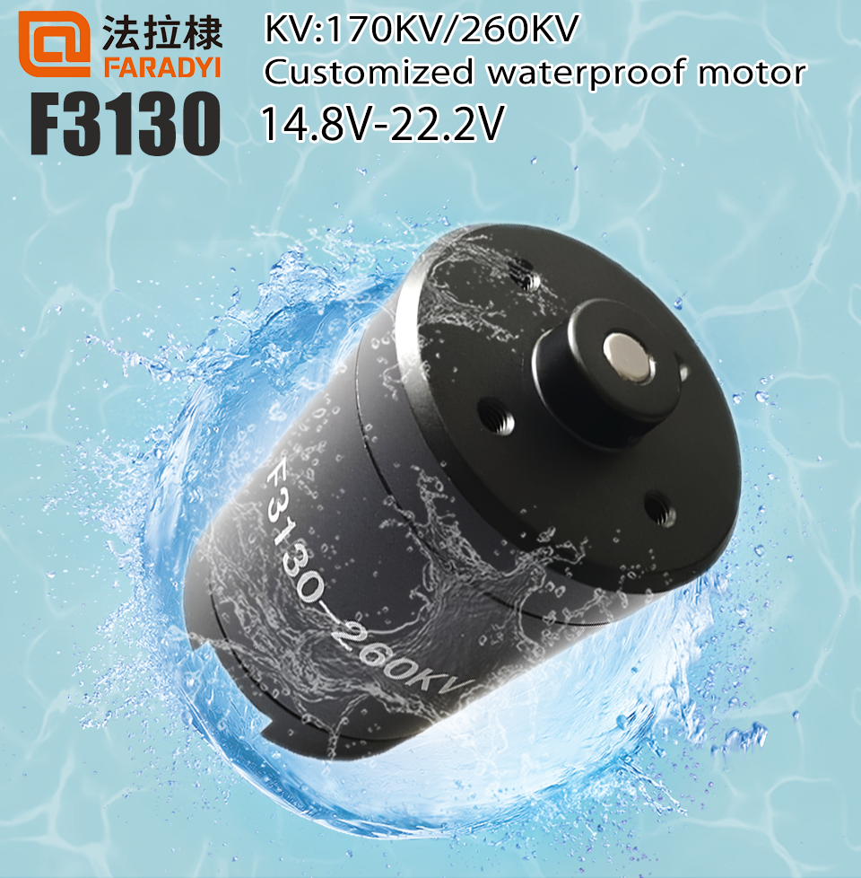 250 Watt 36 Volt Waterproof Electric Motor With Hub Motor Brake