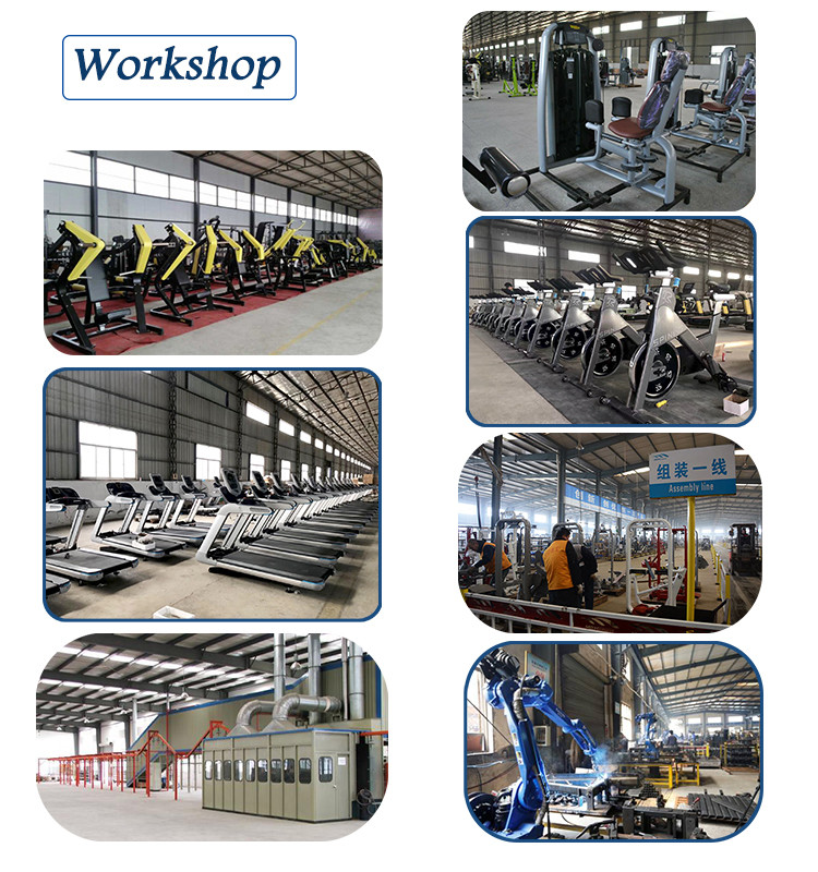 Multifunctional Commercial Gym Equipment Matrix Strength Q235 Steel Frame