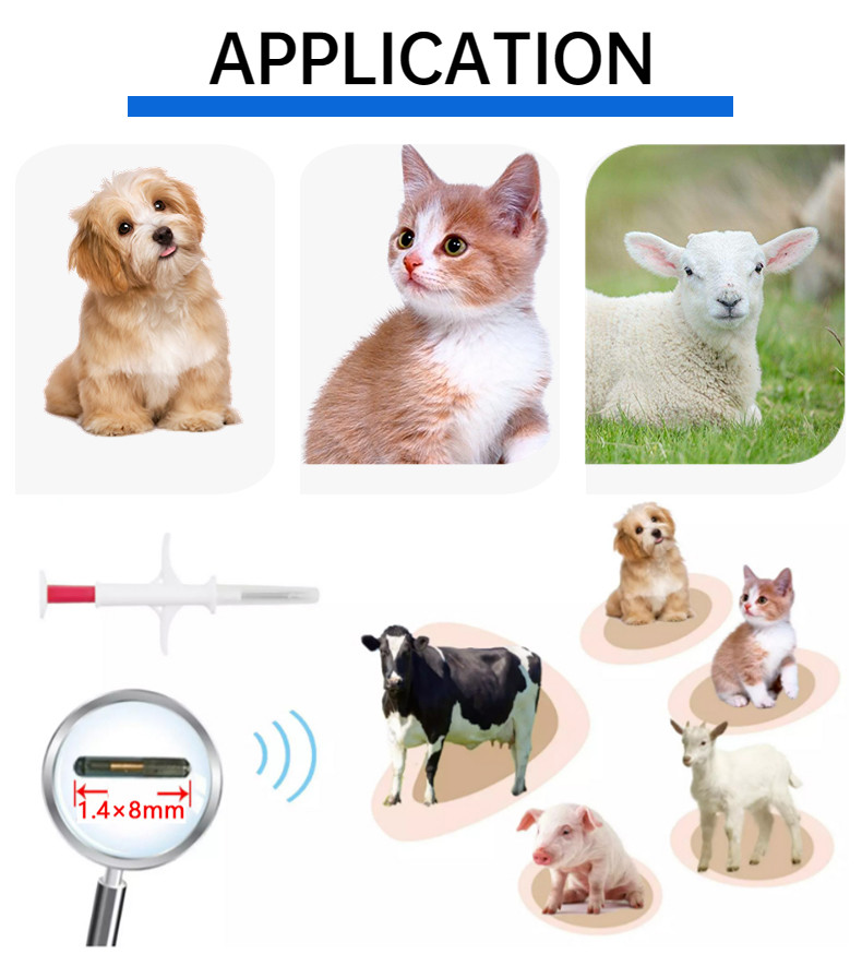 RFID Animal Id Microchip Glass Tag FDX - B 134.2KHz ISO11784 / 11785 1.4*8 Mm Injectable Transponders