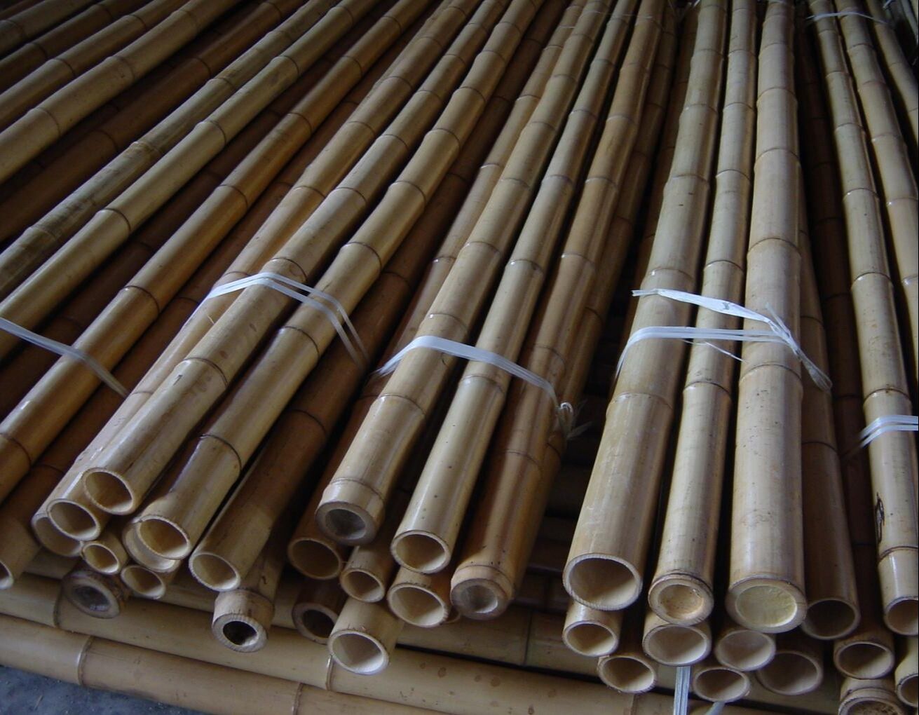 Wholesale Price Natural Moss Plant Pole Moss Stick For Climbing Plants Moss Poles Support