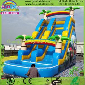 Custom Made Inflatable Slide for Sale