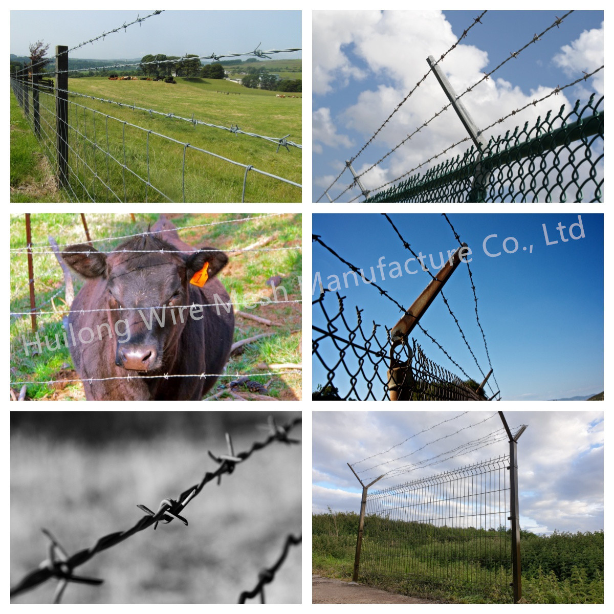 Fencing Galvanised Steel Barbed Wire Security Sharp Anti Corrosion