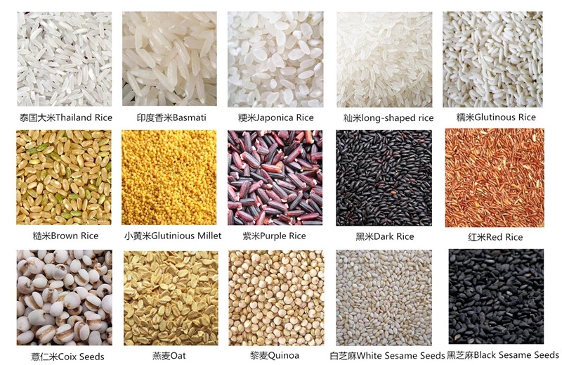 AC220/50Hz 2000W Lentil Color Sorter Two CCD Cameras For Snack Food Factory /