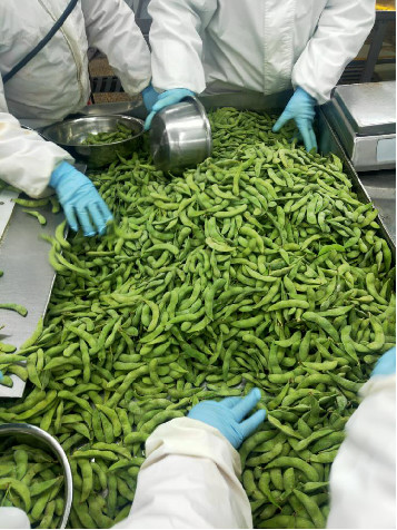 Nutritious Frozen Edamame Beans With No Rusty Spot