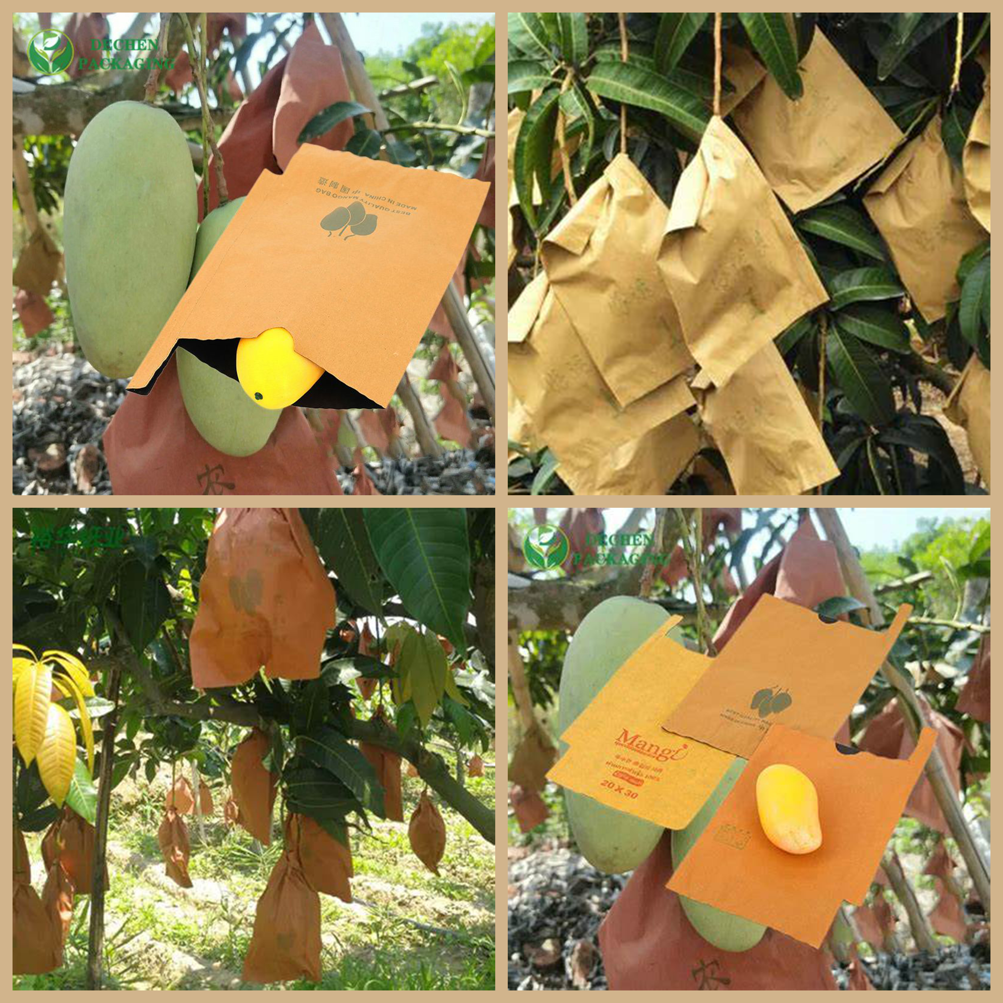 55gsm Fruit Grow Mango Protective Paper Bag Paper Brown Cover Black Inner