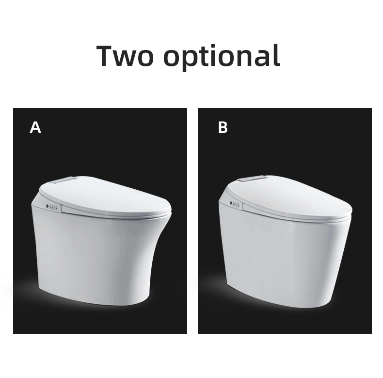 One Piece Ceramic Electronic Intelligent Toilet , Integrated Electric Toilet