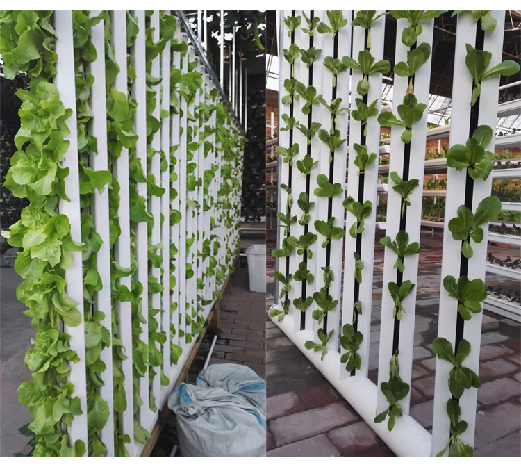 Commercial Hydroponics Nft Strawberry And Flower Vertical Growing System Zipgrow Tower