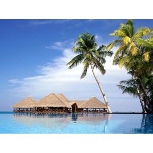 wall install Custom Printed Roller Blind , Blackout Vertical Blinds Slats