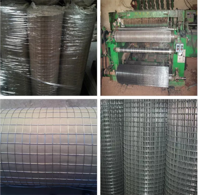 1/4 Inch Welded Wire Bird Cage Panels Hardware Cloth Galvanized