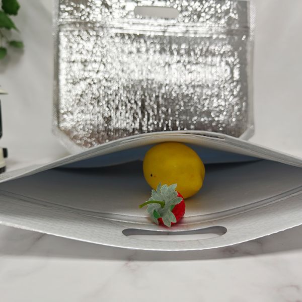 Quality 23x15x20cm Insulated Bag with 5-10kg Load Capacity for sale