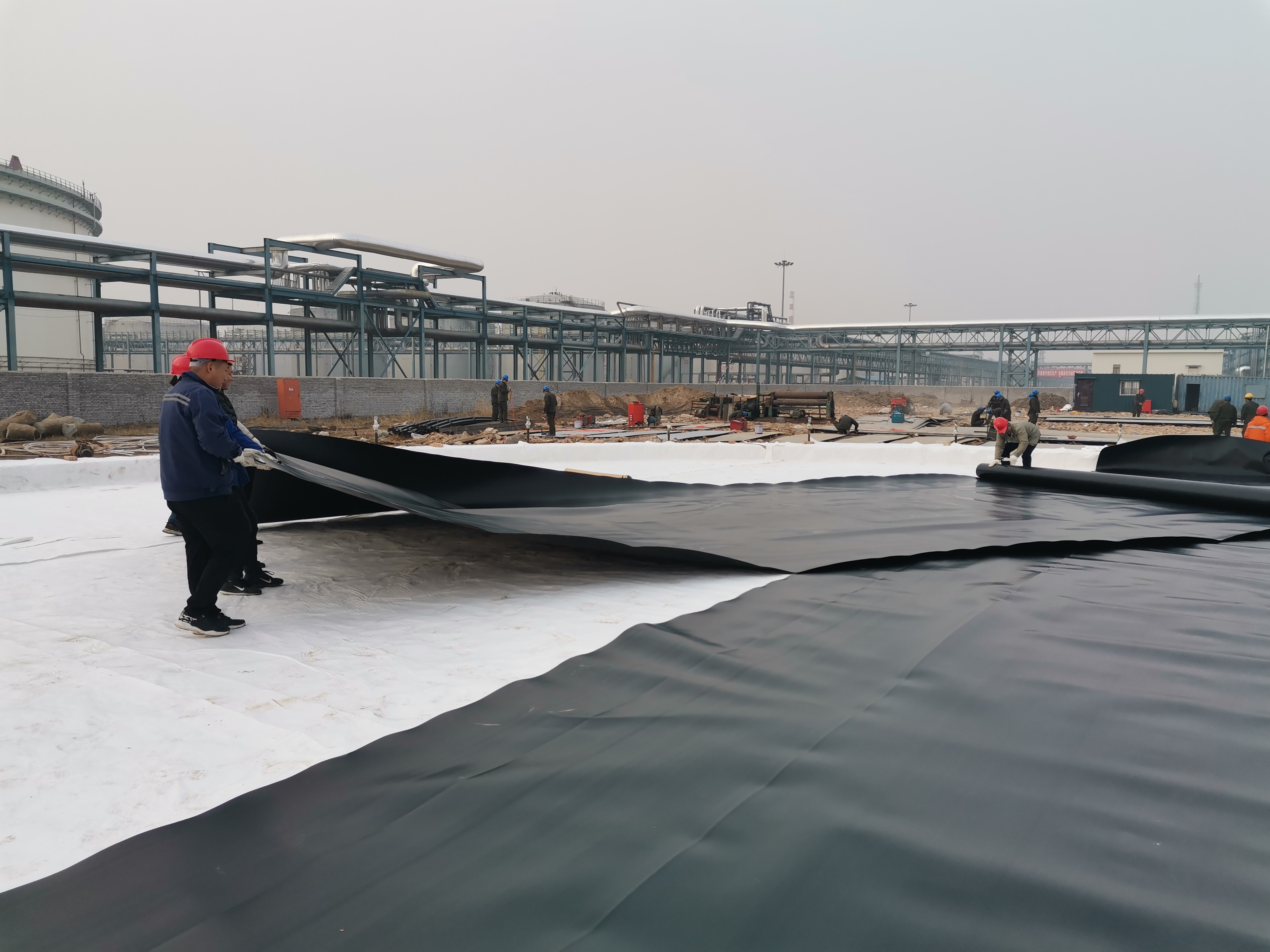 Direct 0.5mm Eco-Friendly HDPE Plastic Geomembrane for Fish Pond Roll Length 50-200m