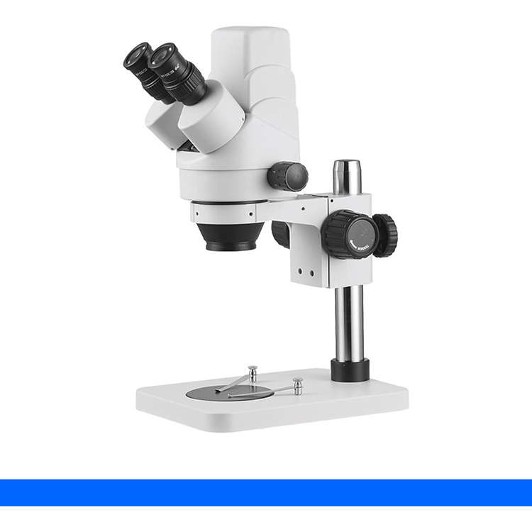 Binocular Digital Stereo Microscope With Auxiliary Objectives Reach 3.5x - 180x