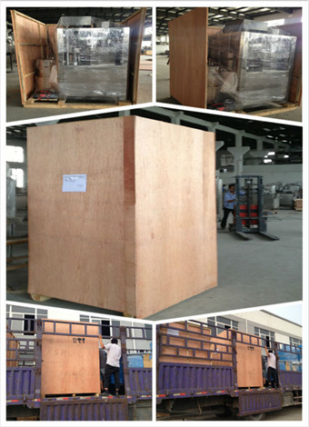 Alu PVC Chewing Gum Automatic Blister Packing Machine PLC Control