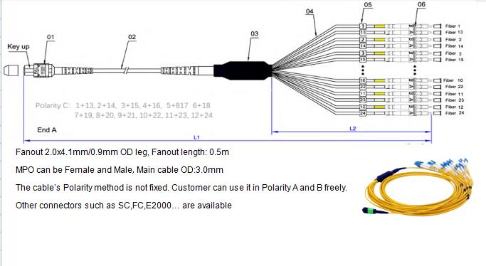 24 Fibers MPO to LC Singlemode Fiber Optic MPO-LC 2.0mm Straight harness Cables