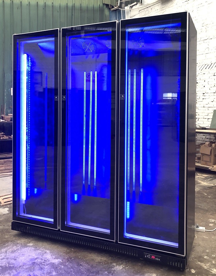 Bar Vertical Refrigerated Cooler Beer Bottle Display Fridge
