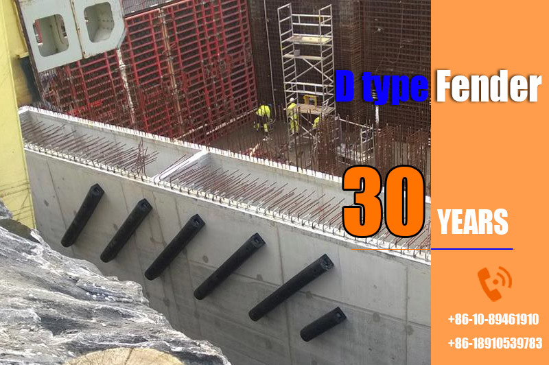 NR D Type Rubber Fenders In Sizes Up To 300mm Compact Yet Strong
