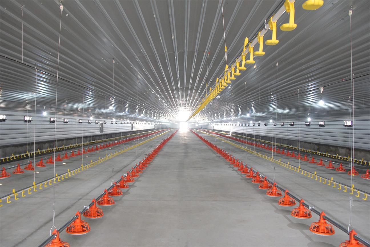 Modern Design Waterproof Thermal Insulation Chicken House Laying Chicken House Steel Structure Poultry House