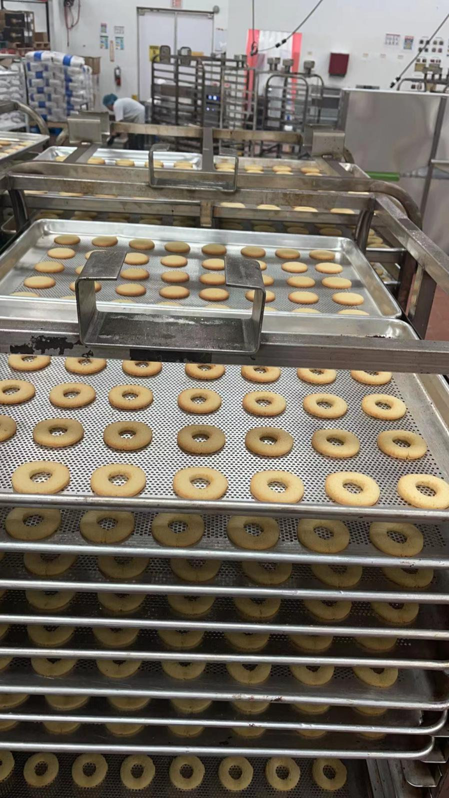 150kg/h Capacity Mini Bakery Biscuit Production Machine Tray Type