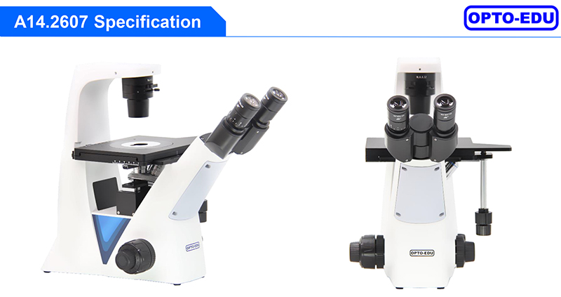 Opto Edu A14.2607 Inverted Scope Transmit Light Semi APO Binocular LED