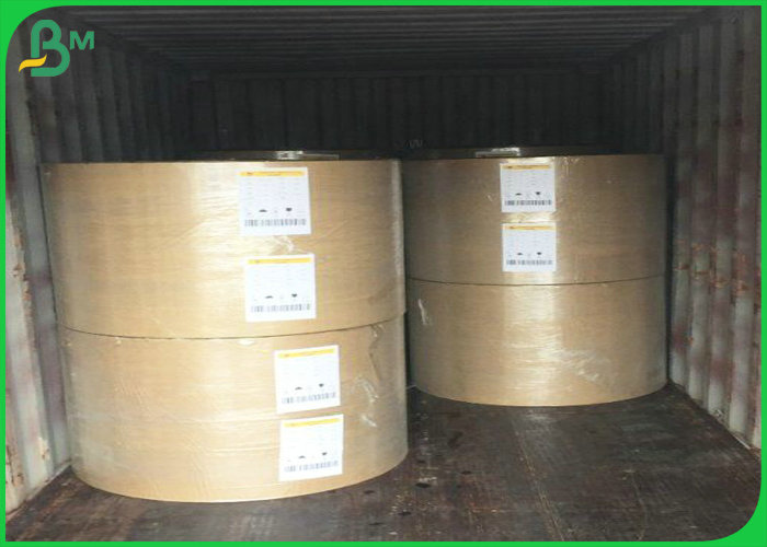 40gsm - 180gsm Safe & Non-toxic FDA Food Grade PE Coated Paper For Packing Food 