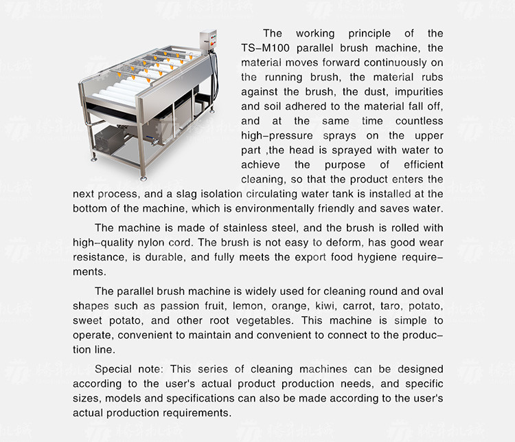 Fruit And Vegetable Wool Roller Bubble Cleaning Machine 1500KG/H