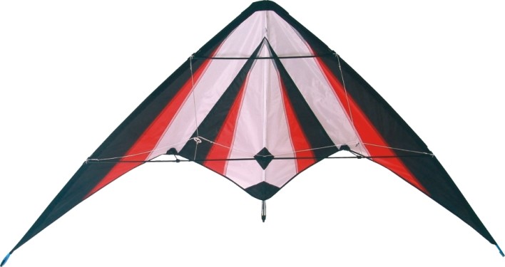Variability of the diamond stunt kite fish sharp style with beach