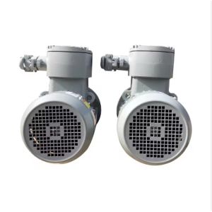 Industry Application Asynchronous Three Phase Flame Proof Electric Motor