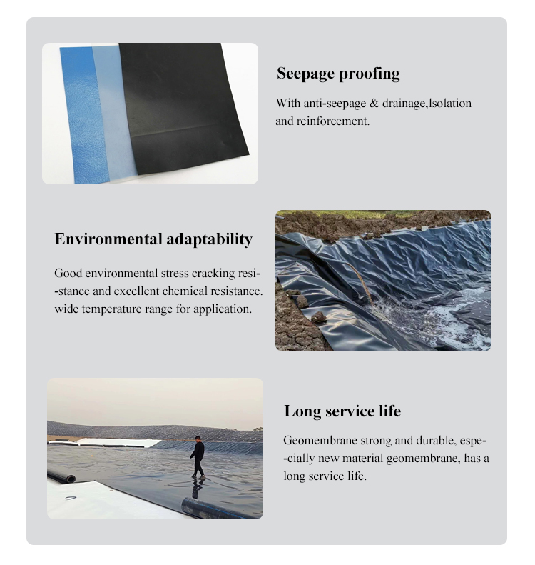GB/ASTM GRI-GM13 Standard Pond Fish Liner Cistern Geomembrane for Industrial Design