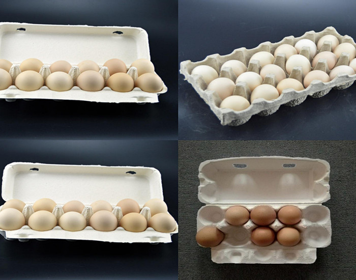 Large Capacity Pulp Molding Equipment Egg Tray Egg Carton Production Line