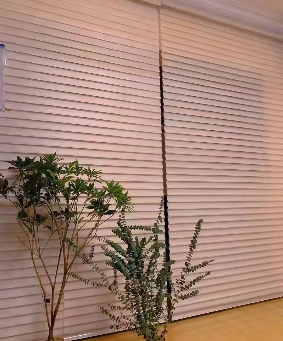 Beautiful Triple Shangri La Curtains Blind Electric For Office