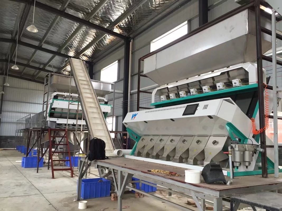 Stainless Steel Low Consumption Black Kidney Beans Color Sorter Machine Farmland Plant