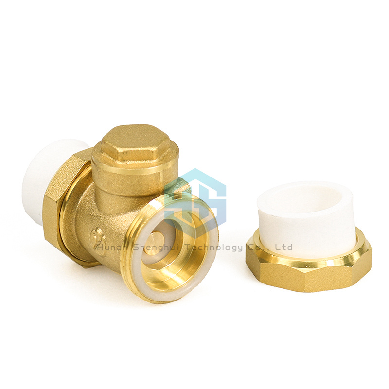 Vertical PPR Double Union Non Return Valve for Water Meter Free Sample